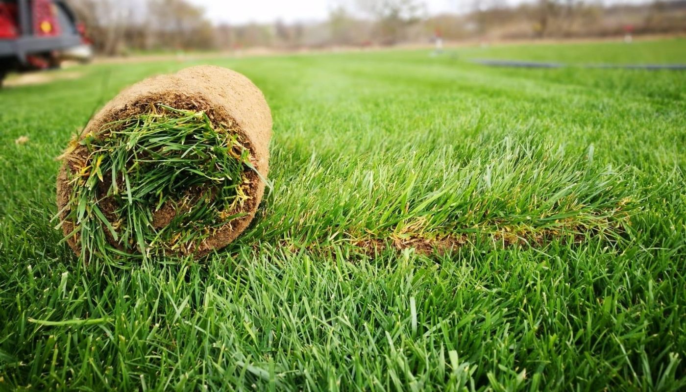 Profesyonel Rulo Çim Uygulaması
